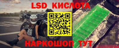 эйфоретик Новодвинск