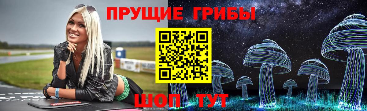 где продают наркотики  Галлюциногенные грибы мицелий  Вход с VPN  Северск 